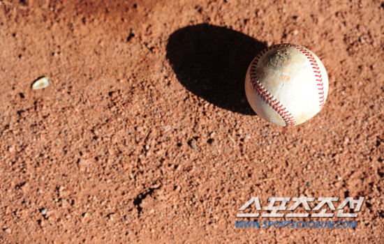 '보험금 내놔!' MLB 사무국-30개 구단, 보험사에 집단 소송 나섰다